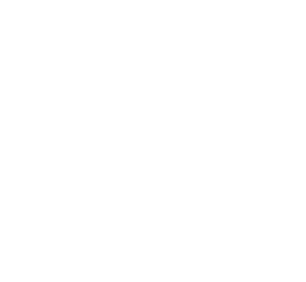 Logo vintage MNS2